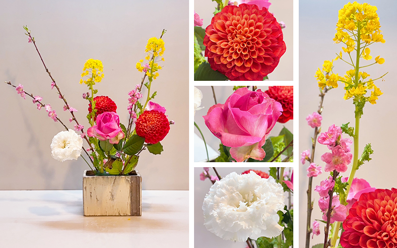 【2025年3月6日】桃、菜の花、ダリア、バラ、トルコキキョウ、ユーカリ